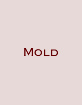 Mold